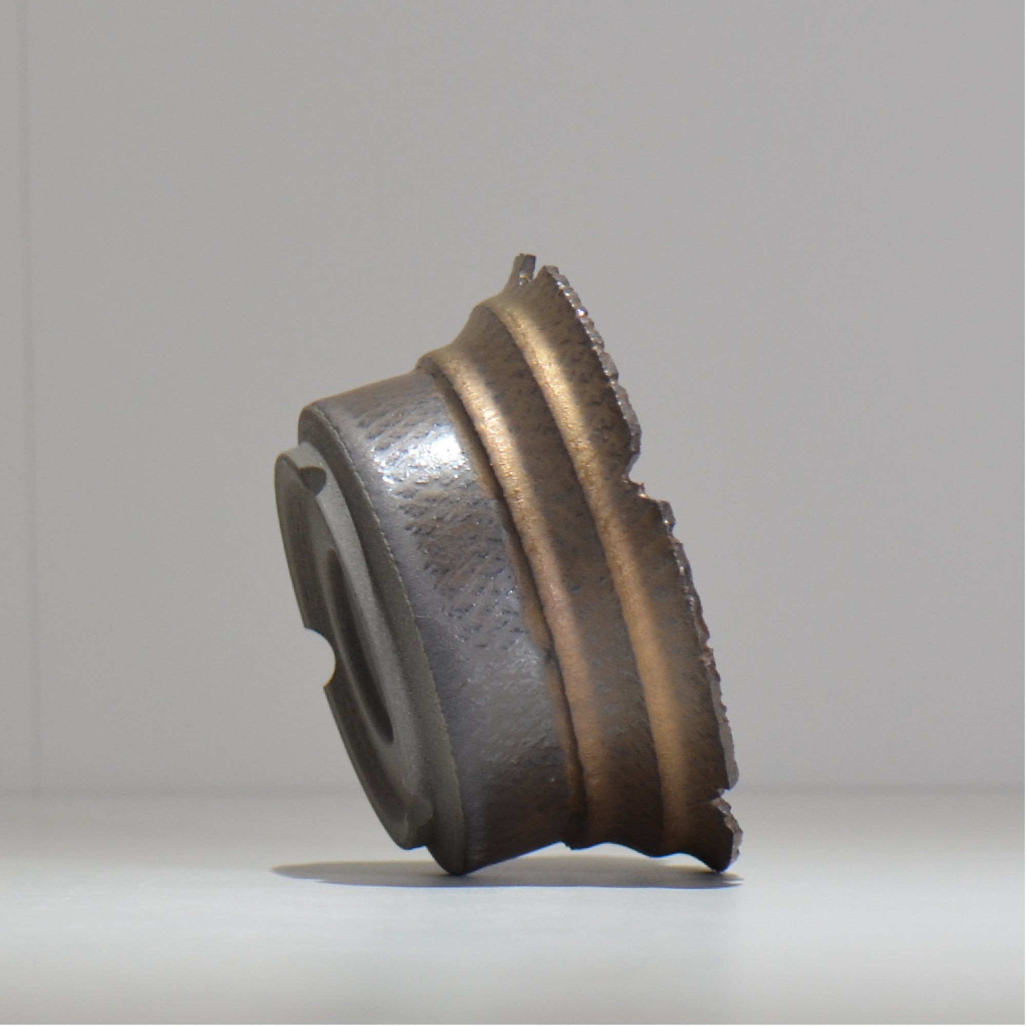 仲田唯希人 / ny_lzd10_m / 約 φ13cm / 植木鉢