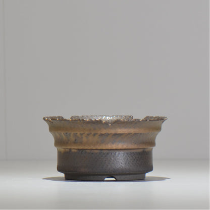 仲田唯希人 / ny_lzd11_m / 約 φ12.5cm / 植木鉢