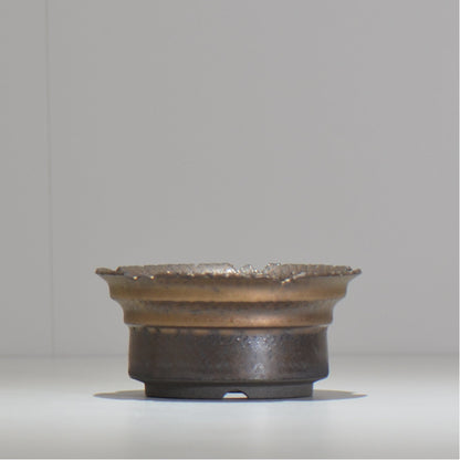 仲田唯希人 / ny_lzd12_m/ 約 φ12.5cm / 植木鉢