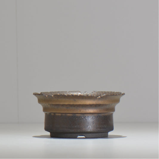 仲田唯希人 / ny_lzd12_m/ 約 φ12.5cm / 植木鉢