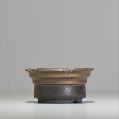 仲田唯希人 / ny_lzd12_m/ 約 φ12.5cm / 植木鉢