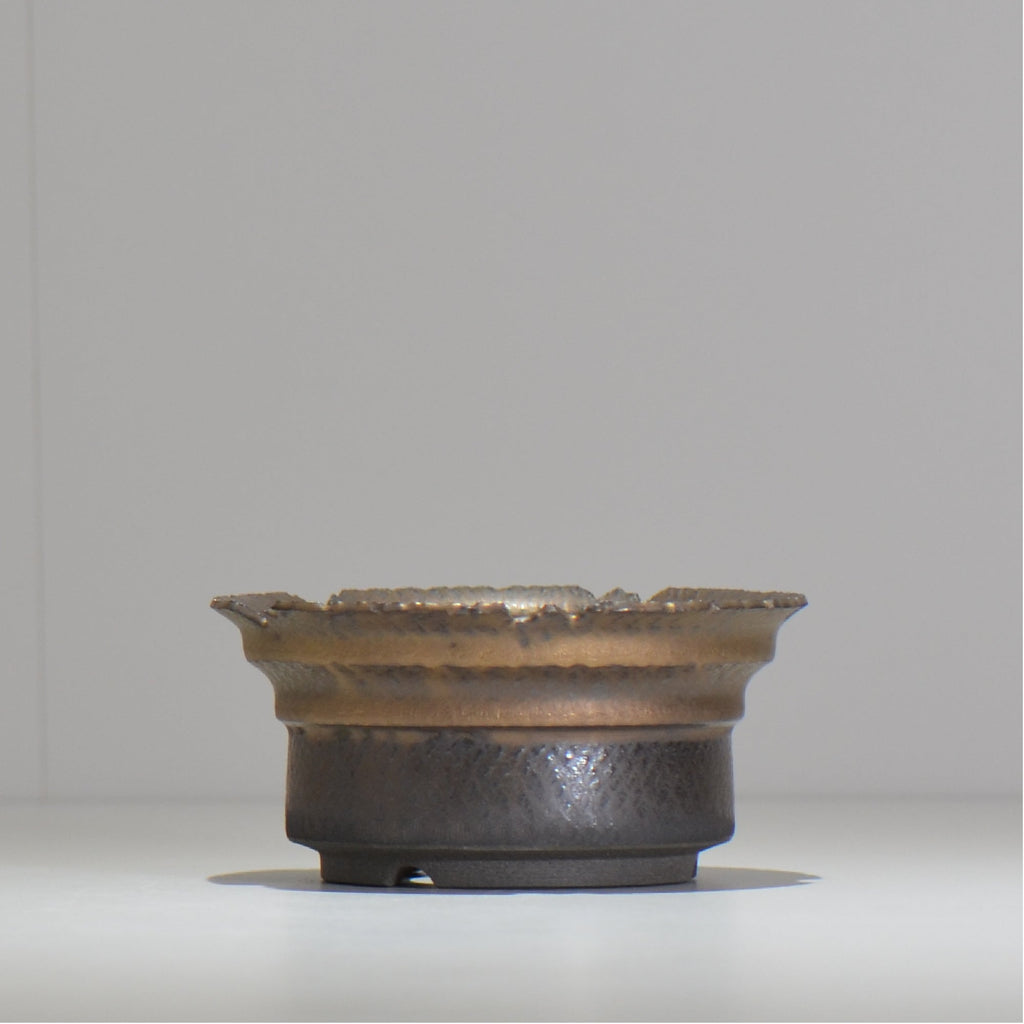 仲田唯希人 / ny_lzd12_m/ 約 φ12.5cm / 植木鉢