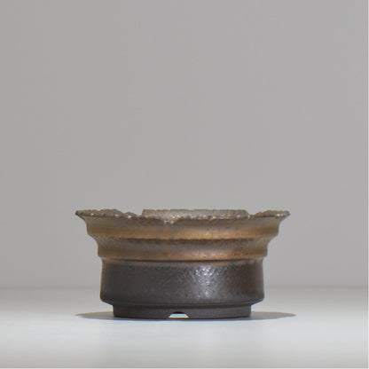 仲田唯希人 / ny_lzd12_m/ 約 φ12.5cm / 植木鉢