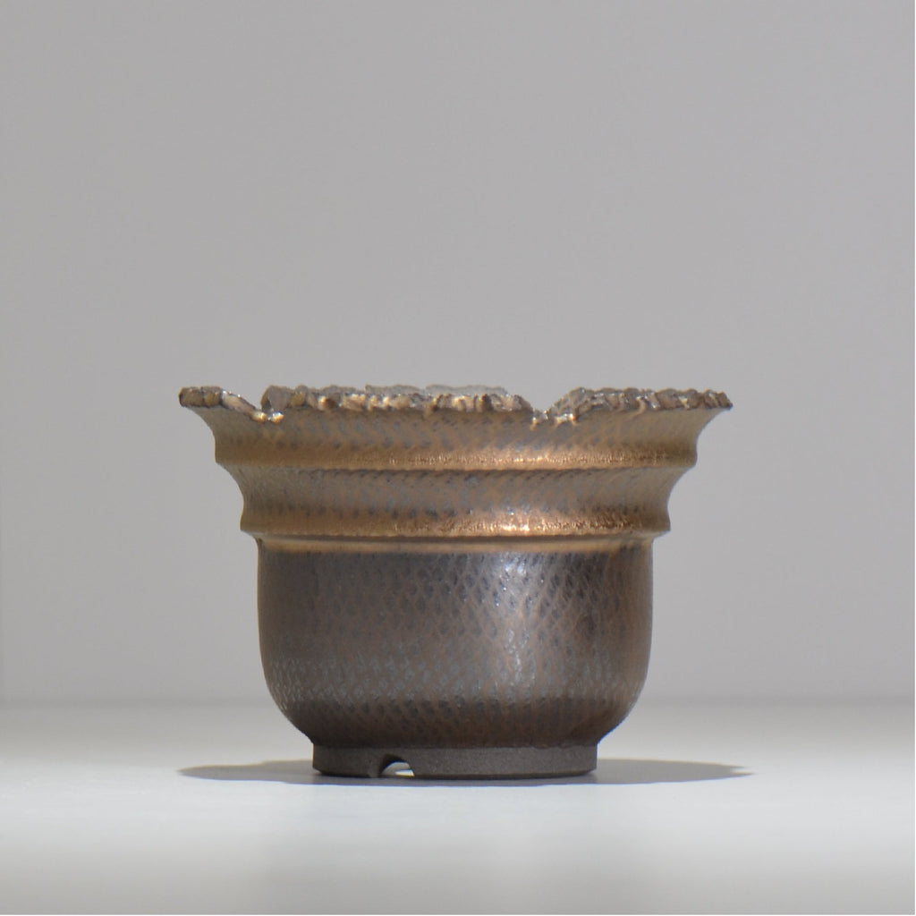 仲田唯希人 / ny_lzd13_m / 約 φ13.7cm / 植木鉢