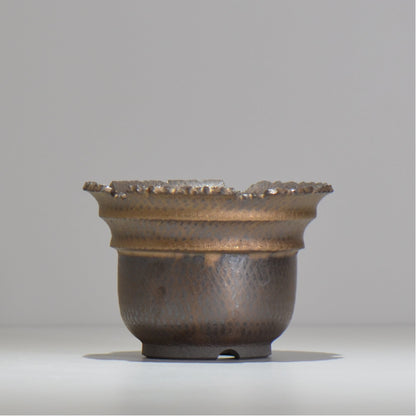 仲田唯希人 / ny_lzd13_m / 約 φ13.7cm / 植木鉢