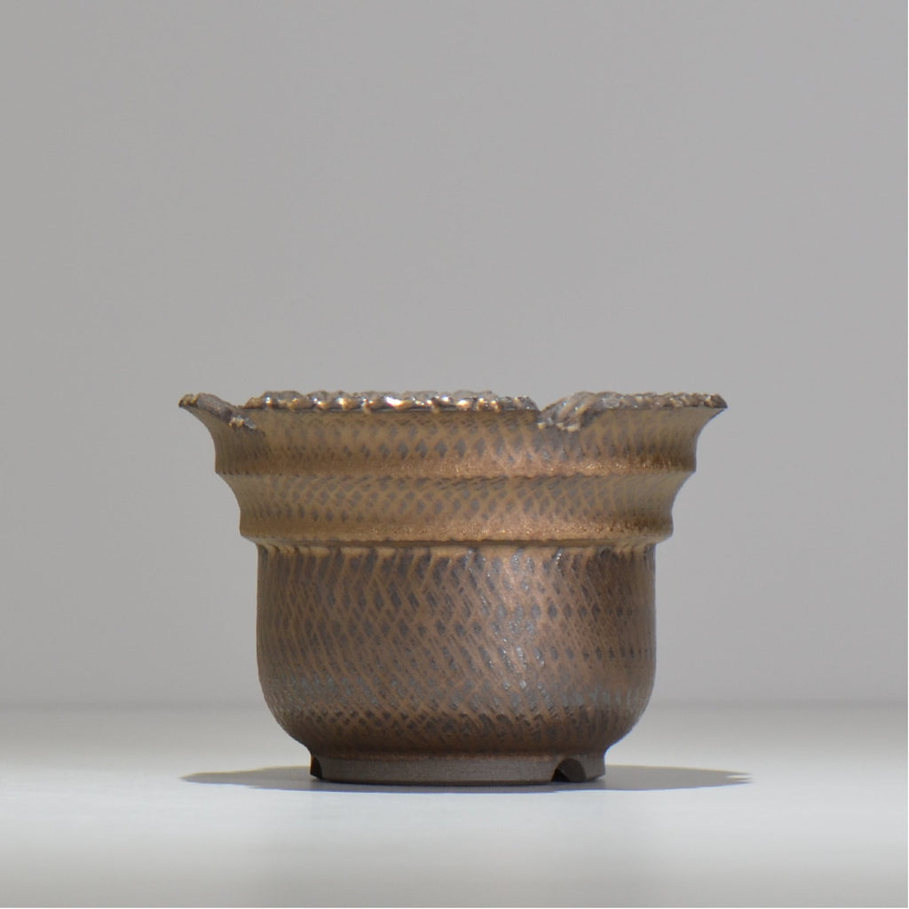 仲田唯希人 / ny_lzd14_m / 約 φ13.7cm / 植木鉢