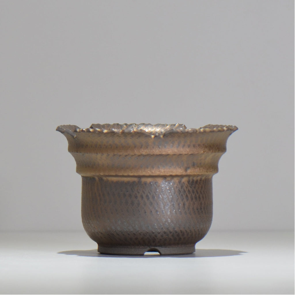 仲田唯希人 / ny_lzd14_m / 約 φ13.7cm / 植木鉢