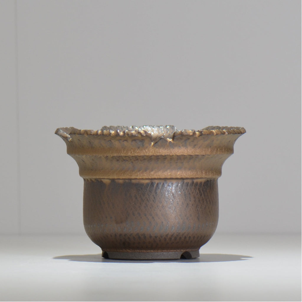 仲田唯希人 / ny_lzd15_m / 約 φ14.4cm / 植木鉢