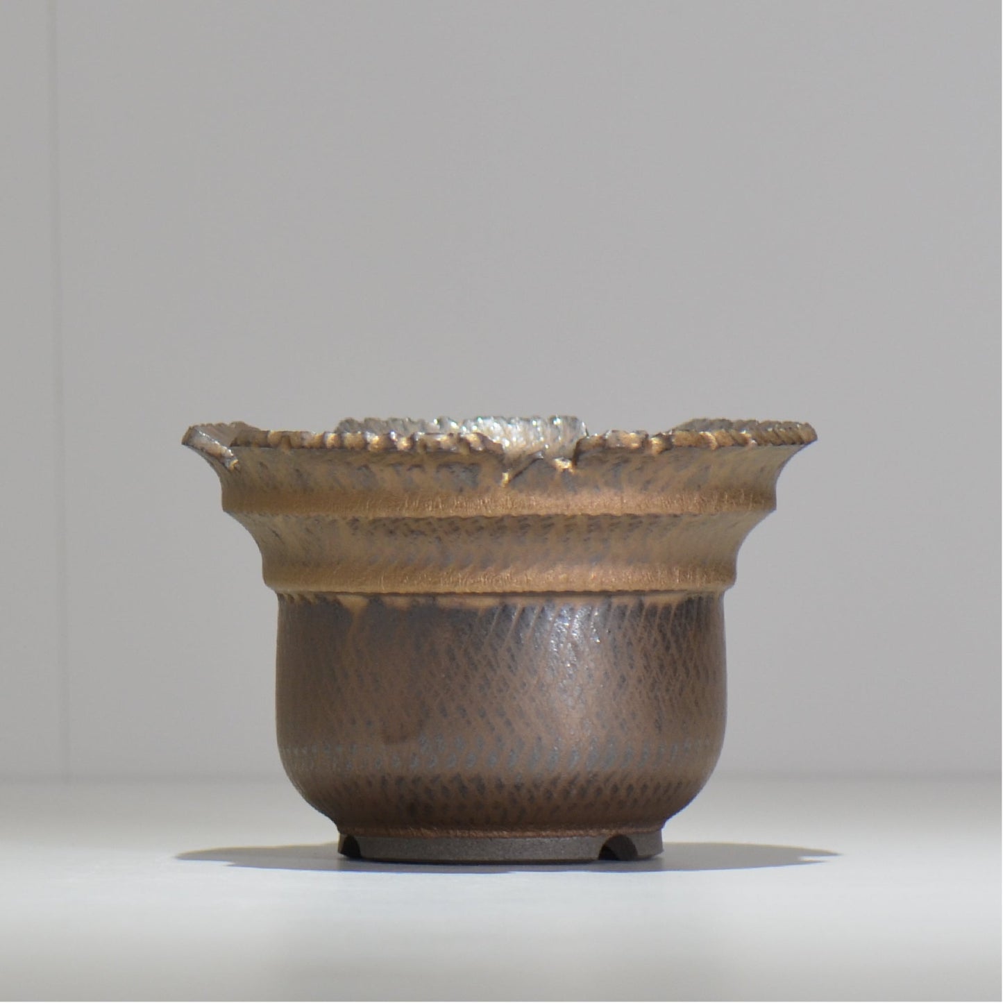 仲田唯希人 / ny_lzd15_m / 約 φ14.4cm / 植木鉢