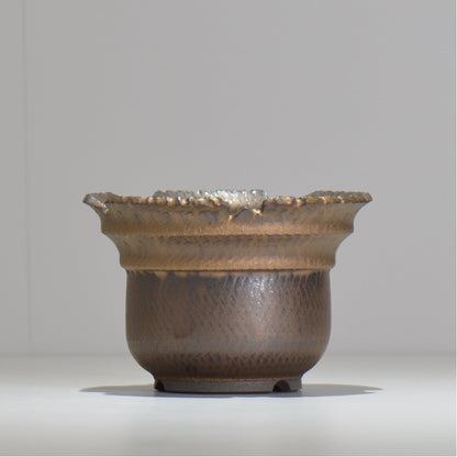 仲田唯希人 / ny_lzd15_m / 約 φ14.4cm / 植木鉢