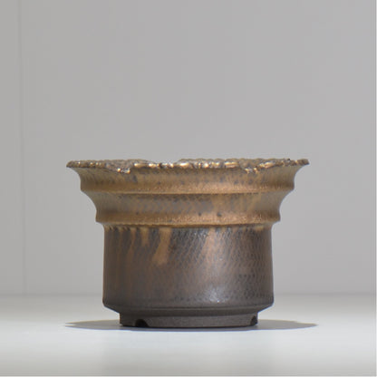 仲田唯希人 / ny_lzd16_m / 約 φ15cm / 植木鉢