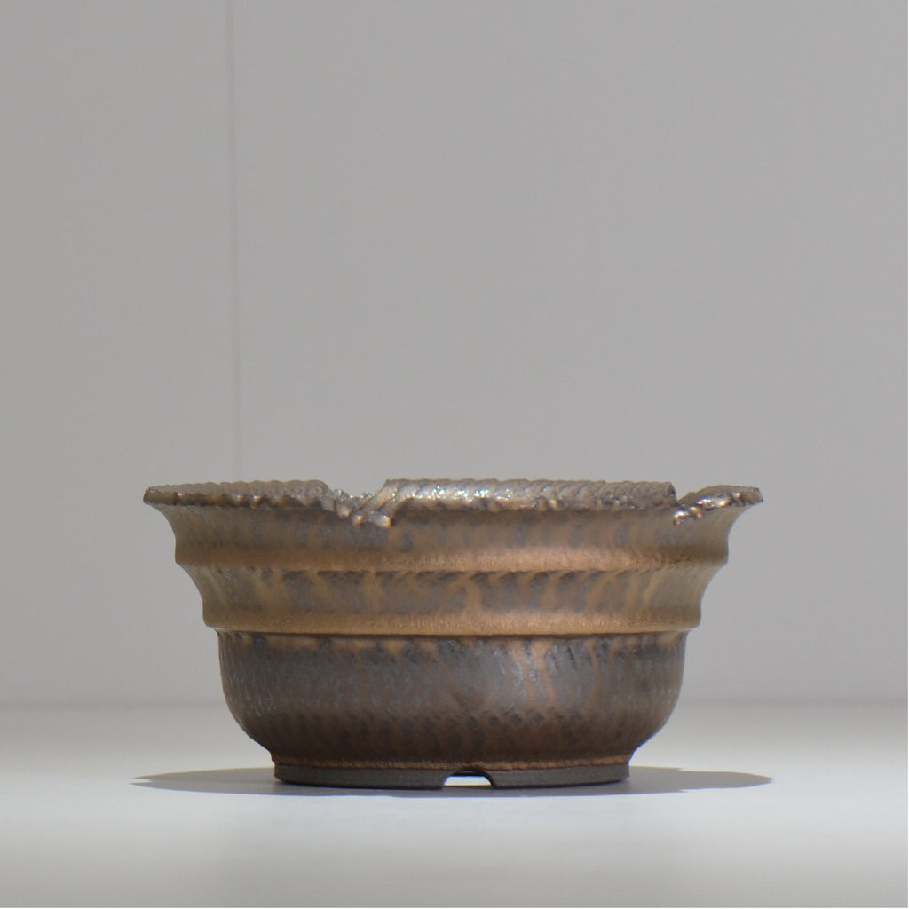 仲田唯希人 / ny_lzd19_l / 約 φ16cm / 植木鉢