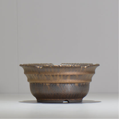 仲田唯希人 / ny_lzd19_l / 約 φ16cm / 植木鉢