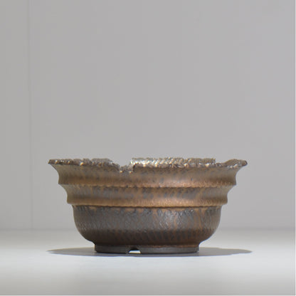 仲田唯希人 / ny_lzd20_l / 約 φ16cm / 植木鉢