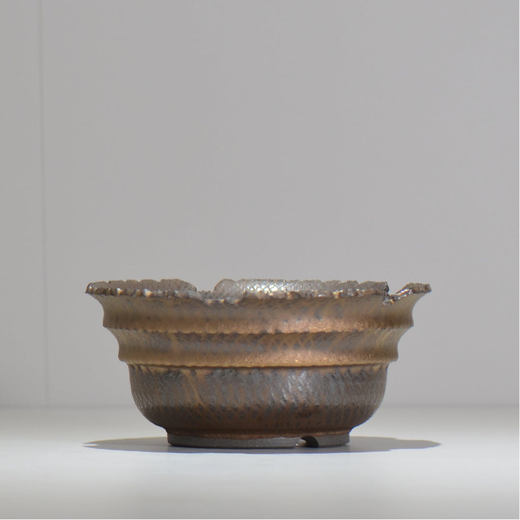 仲田唯希人 / ny_lzd20_l / 約 φ16cm / 植木鉢