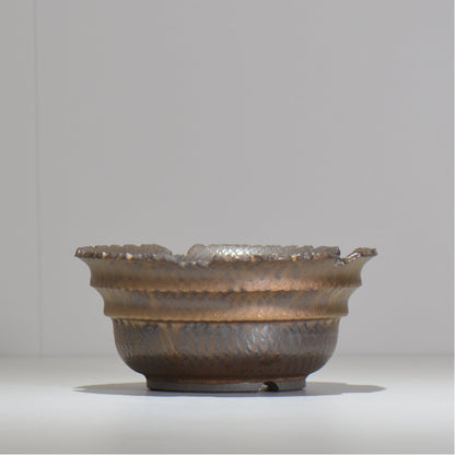 仲田唯希人 / ny_lzd20_l / 約 φ16cm / 植木鉢