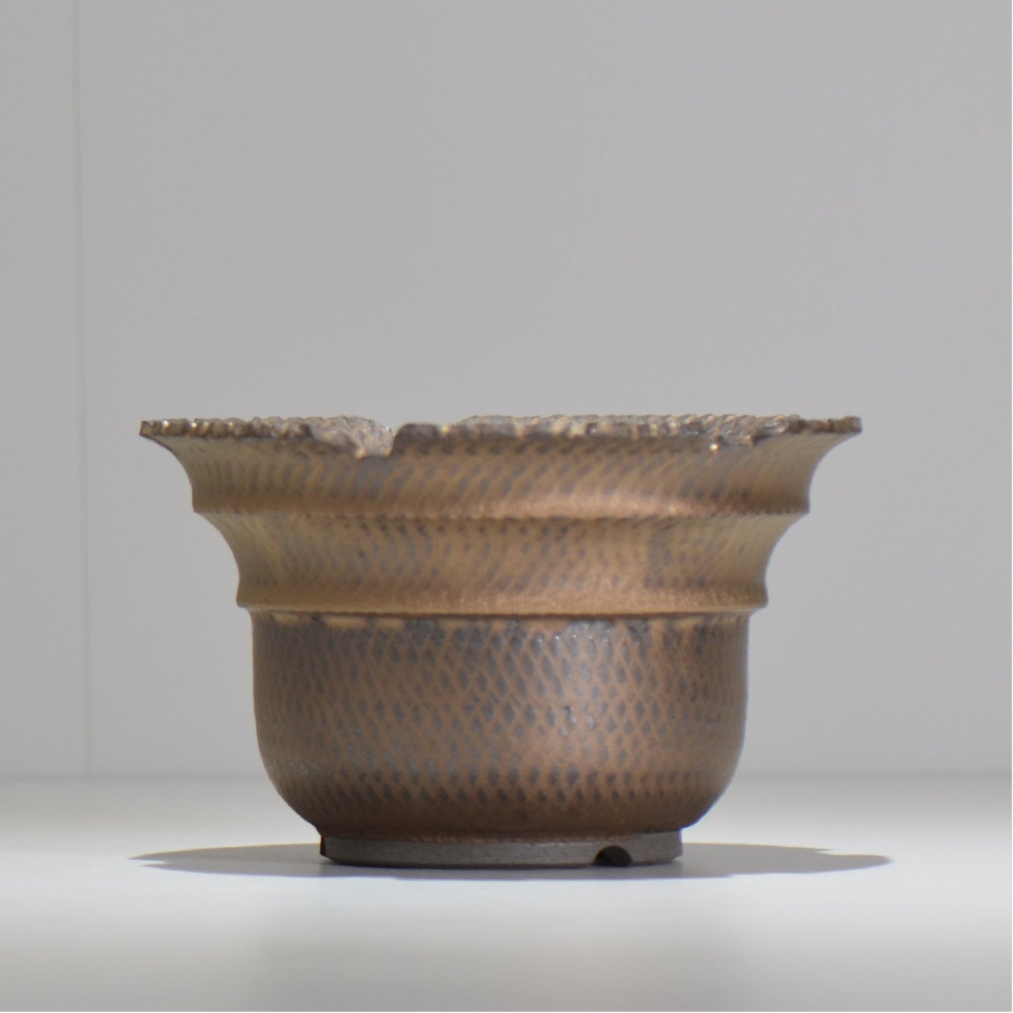 仲田唯希人 / ny_lzd25_l / 約 φ17.7cm / 植木鉢