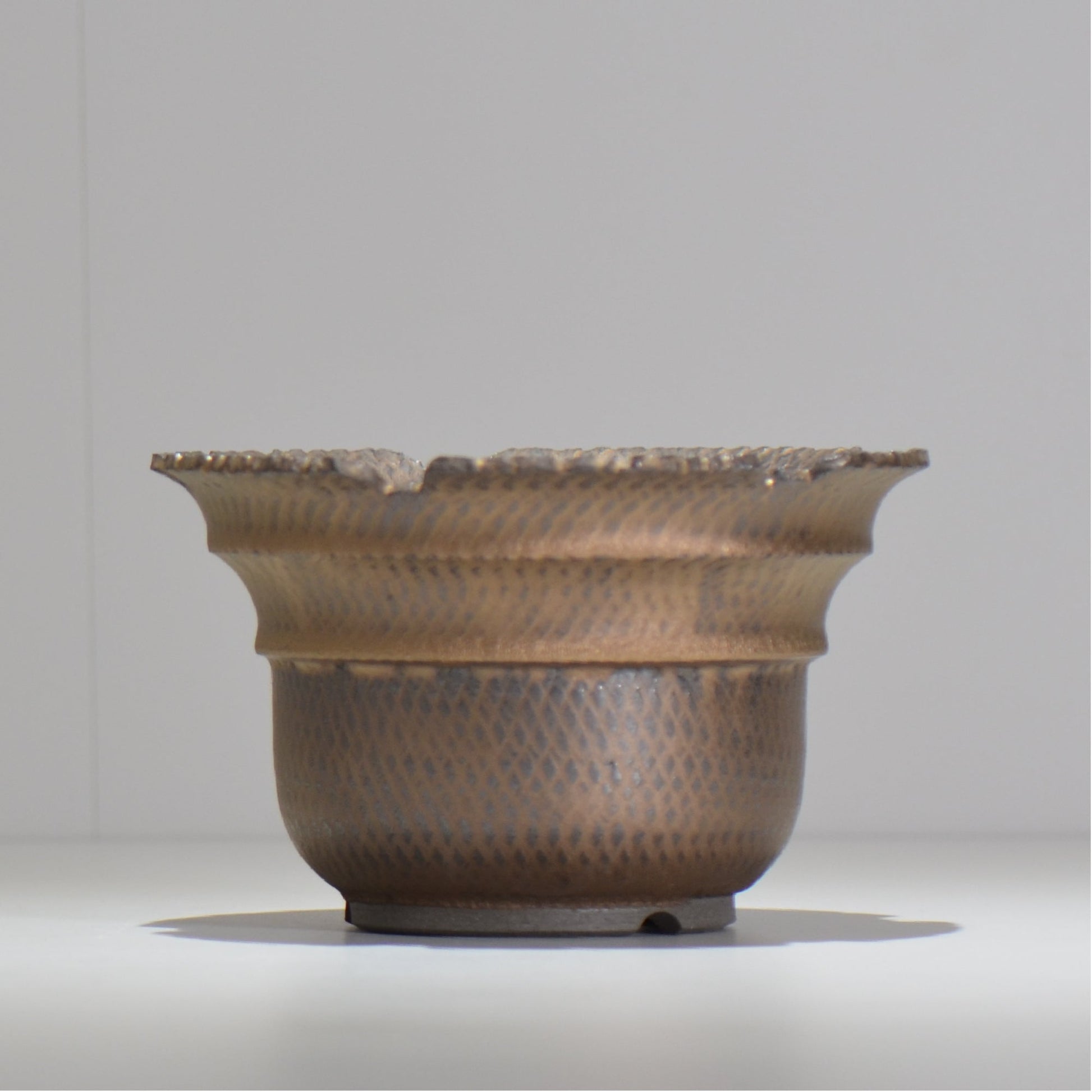 仲田唯希人 / ny_lzd25_l / 約 φ17.7cm / 植木鉢