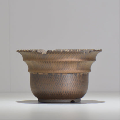 仲田唯希人 / ny_lzd25_l / 約 φ17.7cm / 植木鉢