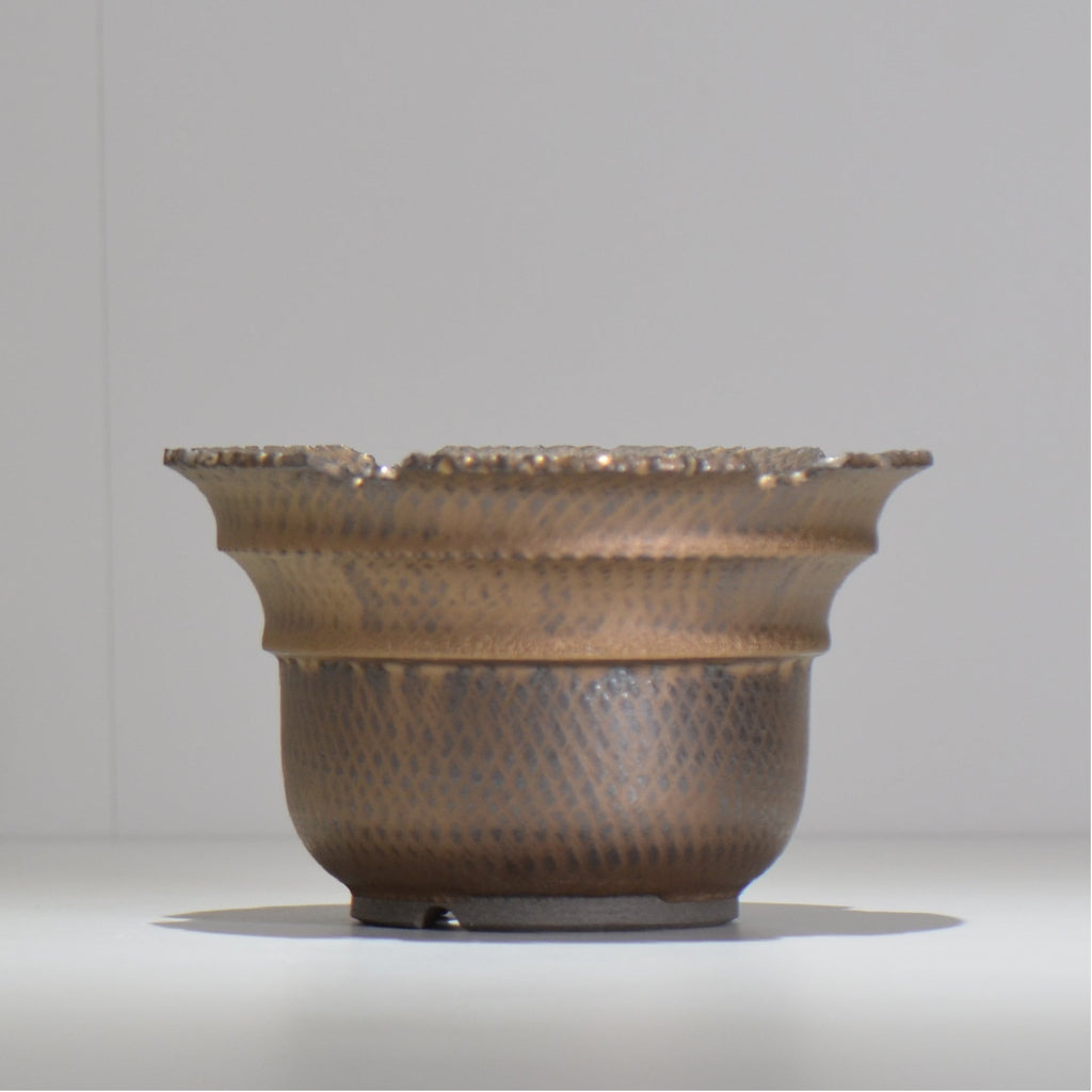 仲田唯希人 / ny_lzd25_l / 約 φ17.7cm / 植木鉢