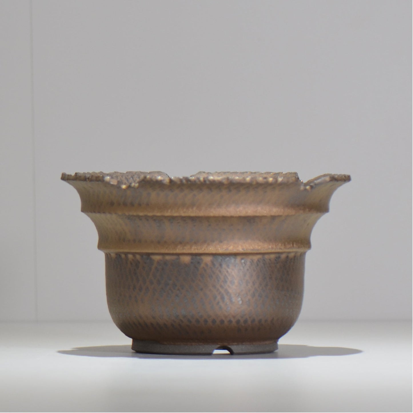 仲田唯希人 / ny_lzd25_l / 約 φ17.7cm / 植木鉢