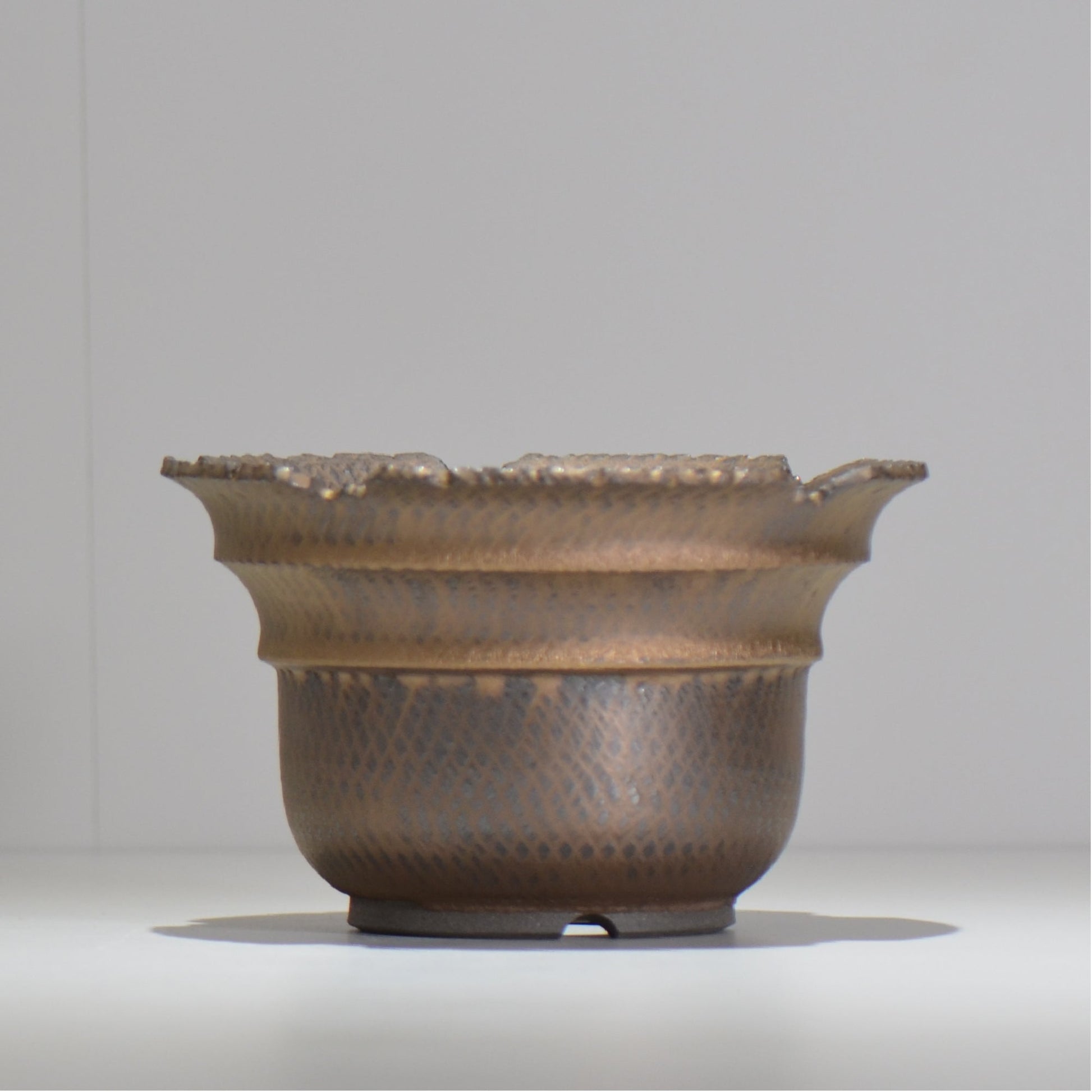 仲田唯希人 / ny_lzd25_l / 約 φ17.7cm / 植木鉢