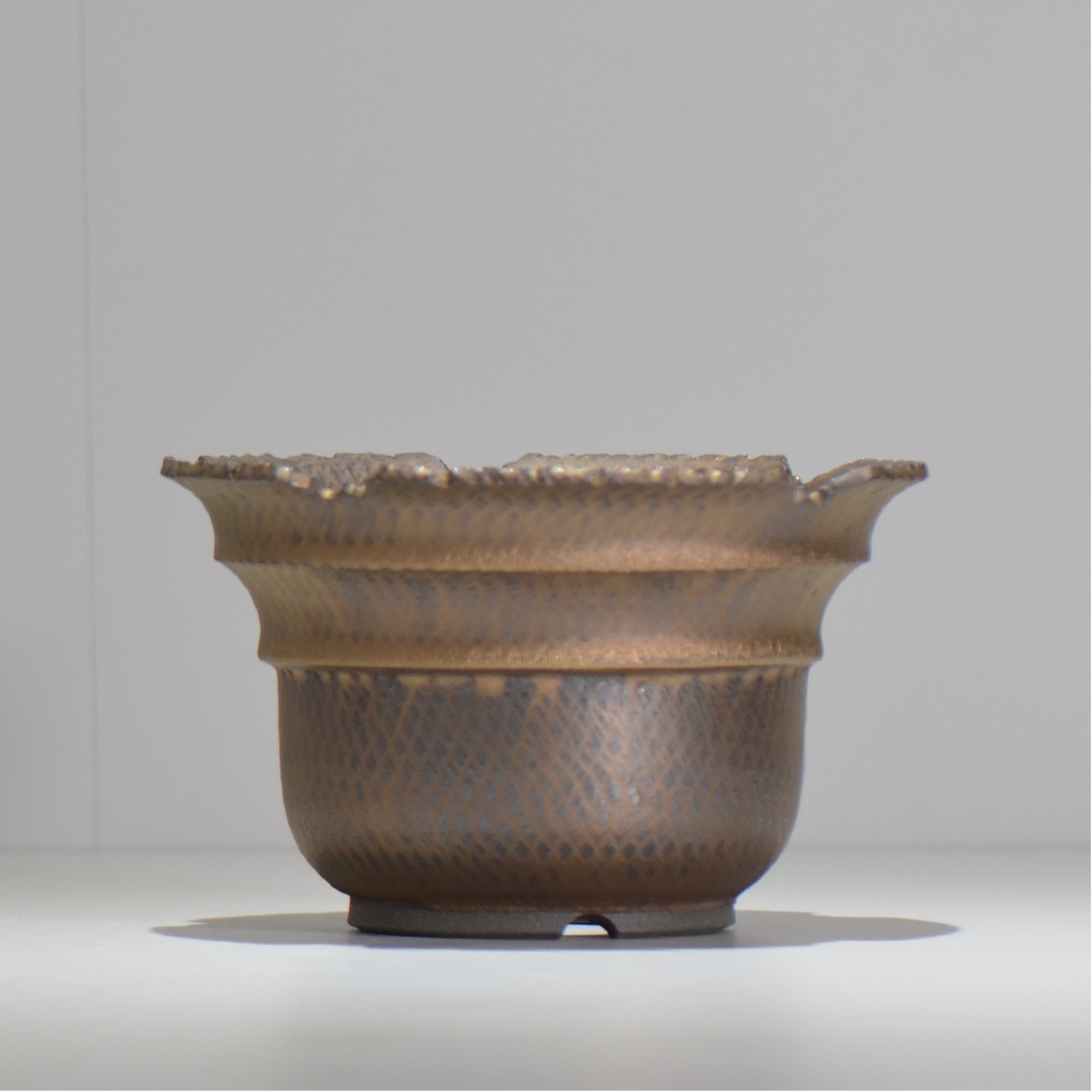 仲田唯希人 / ny_lzd25_l / 約 φ17.7cm / 植木鉢