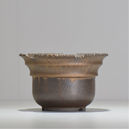 仲田唯希人 / ny_lzd27_l / 約 φ17.5cm / 植木鉢