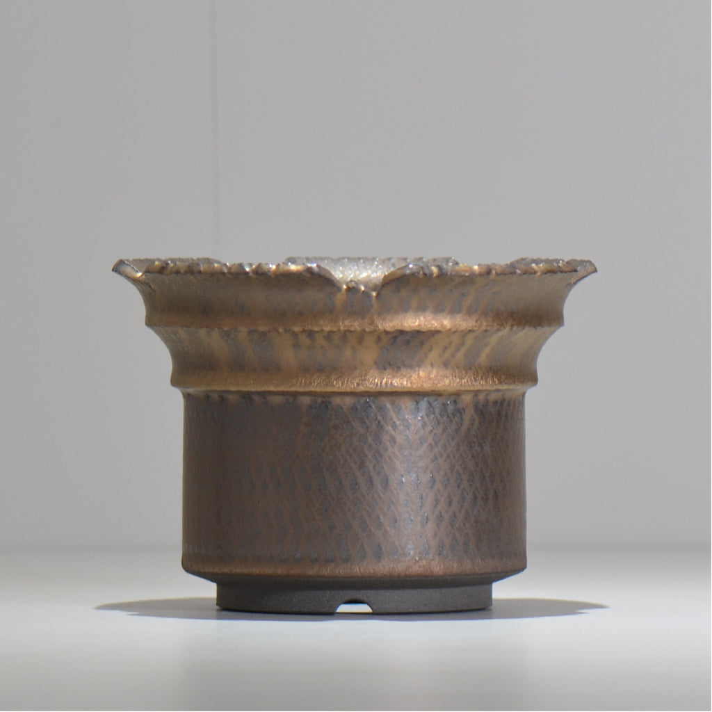 仲田唯希人 / ny_lzd30_l / 約 φ17cm / 植木鉢