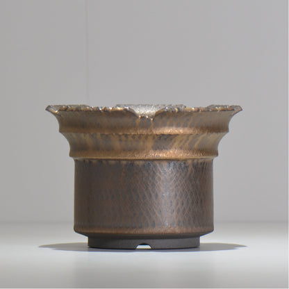 仲田唯希人 / ny_lzd30_l / 約 φ17cm / 植木鉢