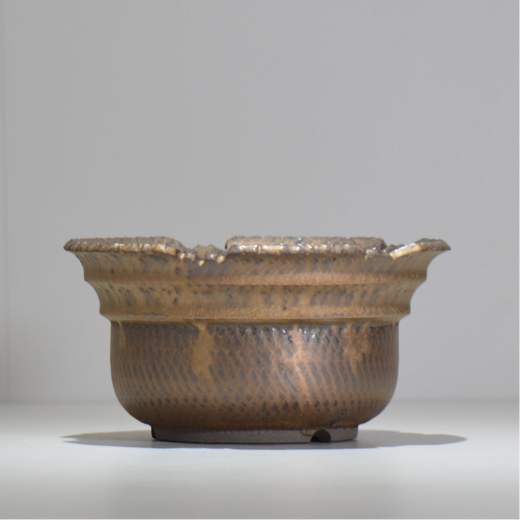 仲田唯希人 / ny_lzd31_xl / 約 φ20cm / 植木鉢