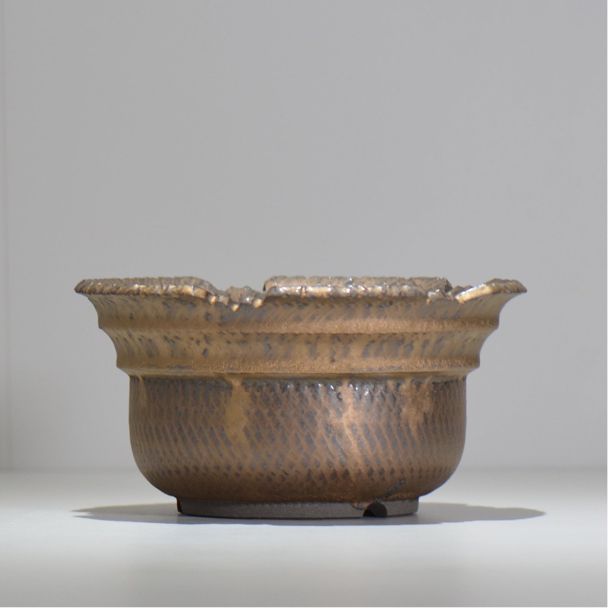 仲田唯希人 / ny_lzd31_xl / 約 φ20cm / 植木鉢