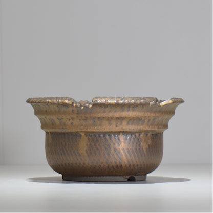 仲田唯希人 / ny_lzd31_xl / 約 φ20cm / 植木鉢