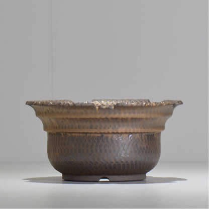 仲田唯希人 / ny_lzd32_xl / 約 φ19.5cm / 植木鉢