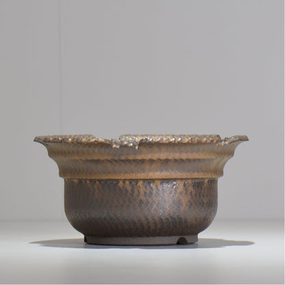 仲田唯希人 / ny_lzd32_xl / 約 φ19.5cm / 植木鉢