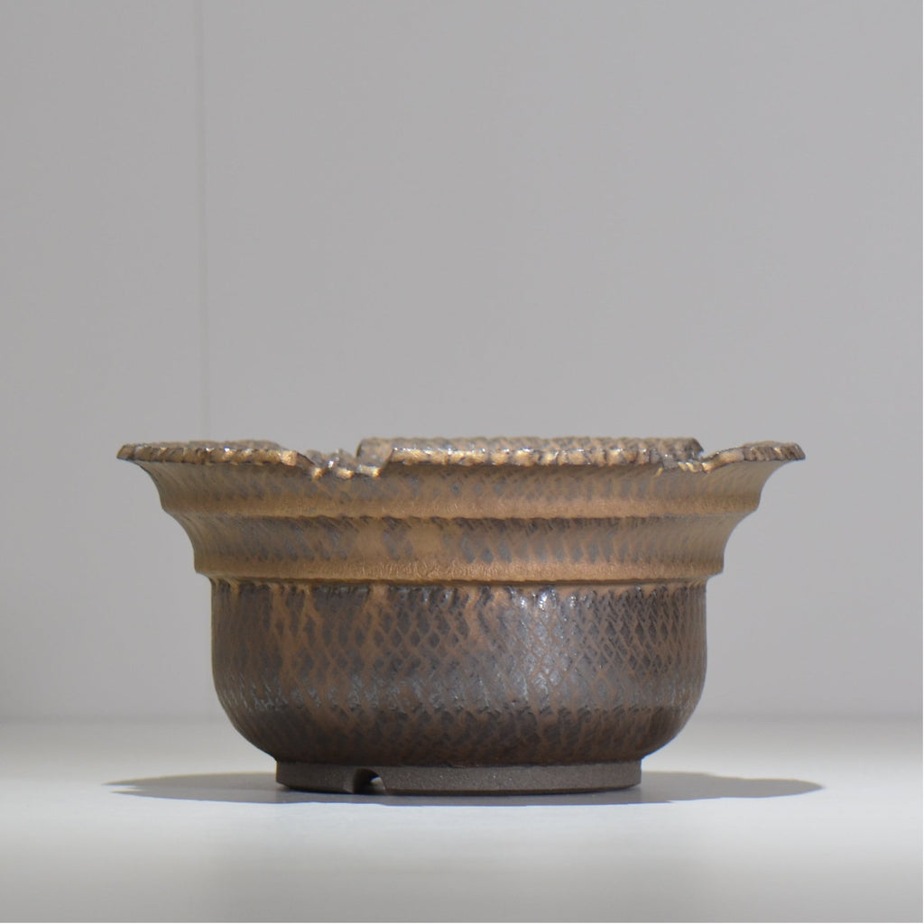 仲田唯希人 / ny_lzd32_xl / 約 φ19.5cm / 植木鉢