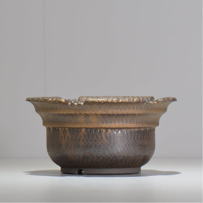 仲田唯希人 / ny_lzd32_xl / 約 φ19.5cm / 植木鉢