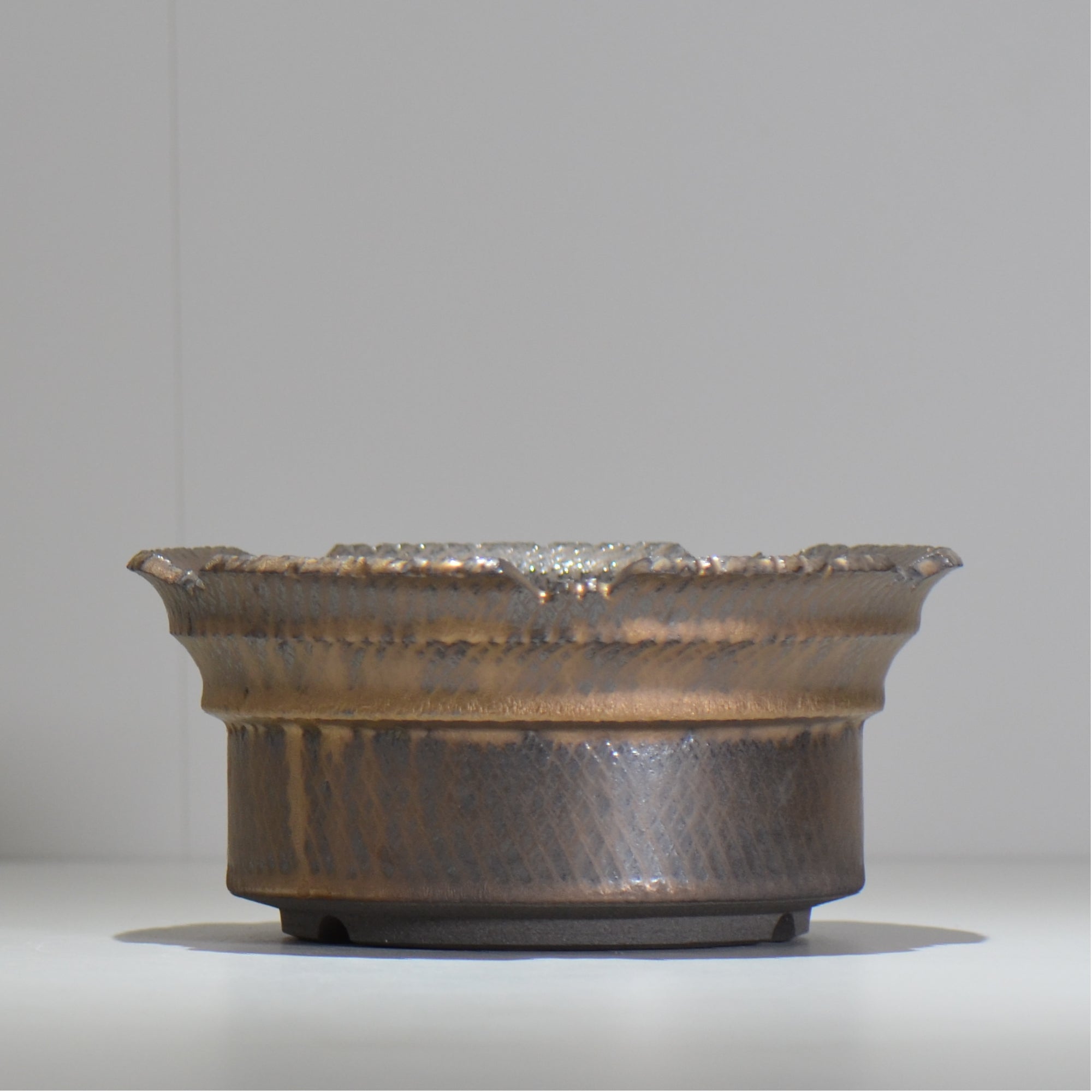 大鉢 – ハチラボ