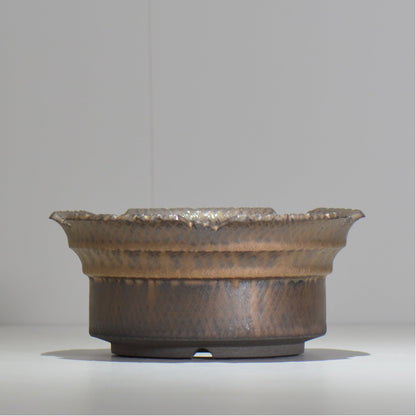 仲田唯希人 / ny_lzd36_xl / 約 φ20cm / 植木鉢