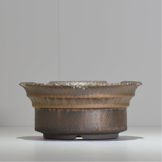 仲田唯希人 / ny_lzd36_xl / 約 φ20cm / 植木鉢