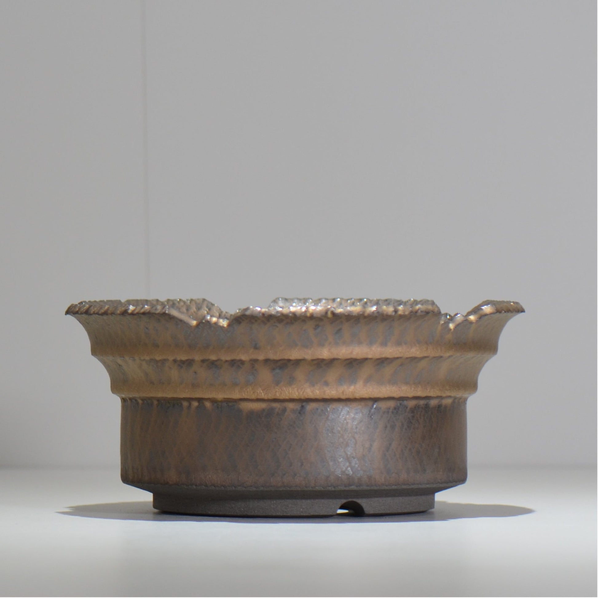 仲田唯希人 / ny_lzd36_xl / 約 φ20cm / 植木鉢