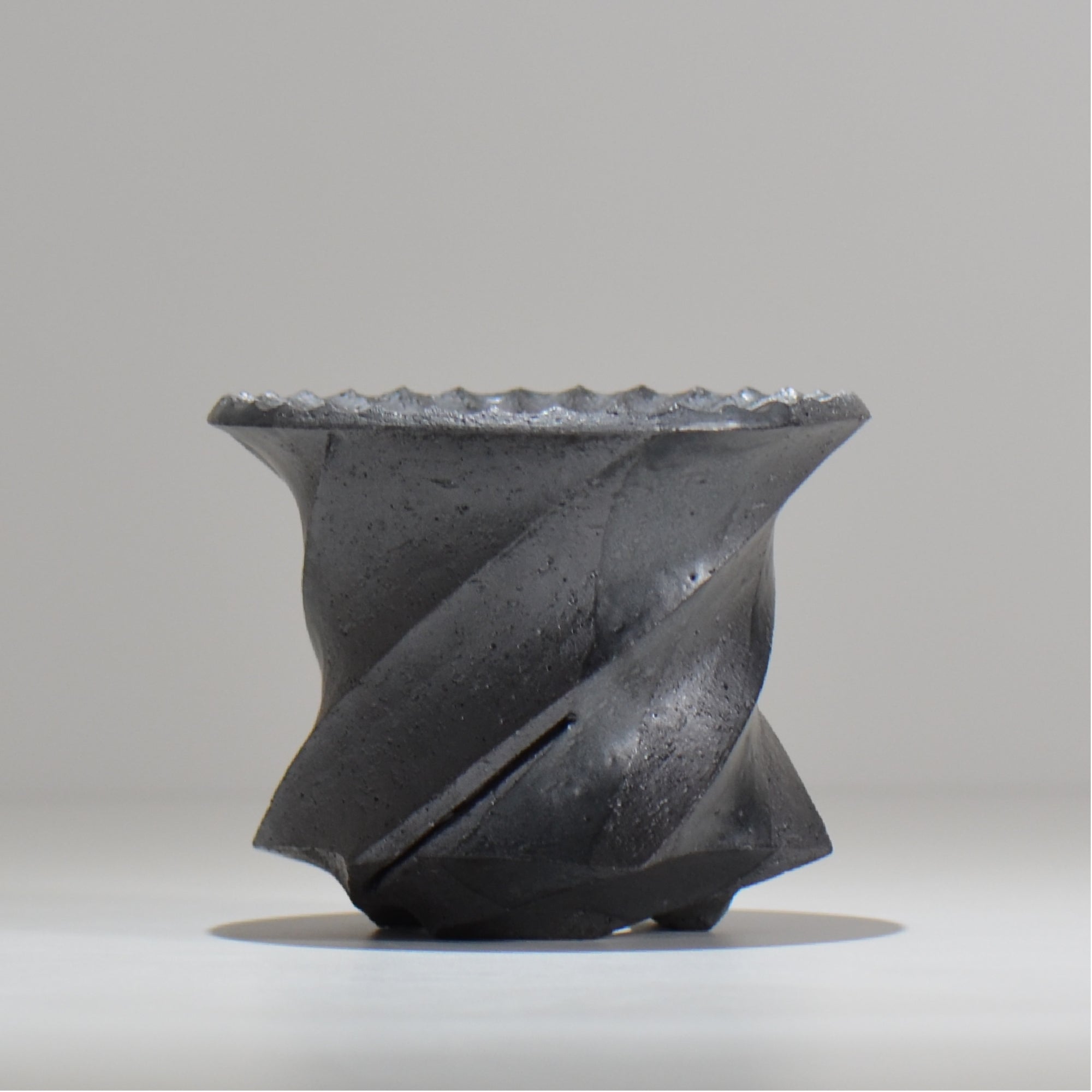 白閃or吹雪柱 A　150cm(鉢底から) φ6cm~8.9cm – ハチラボ