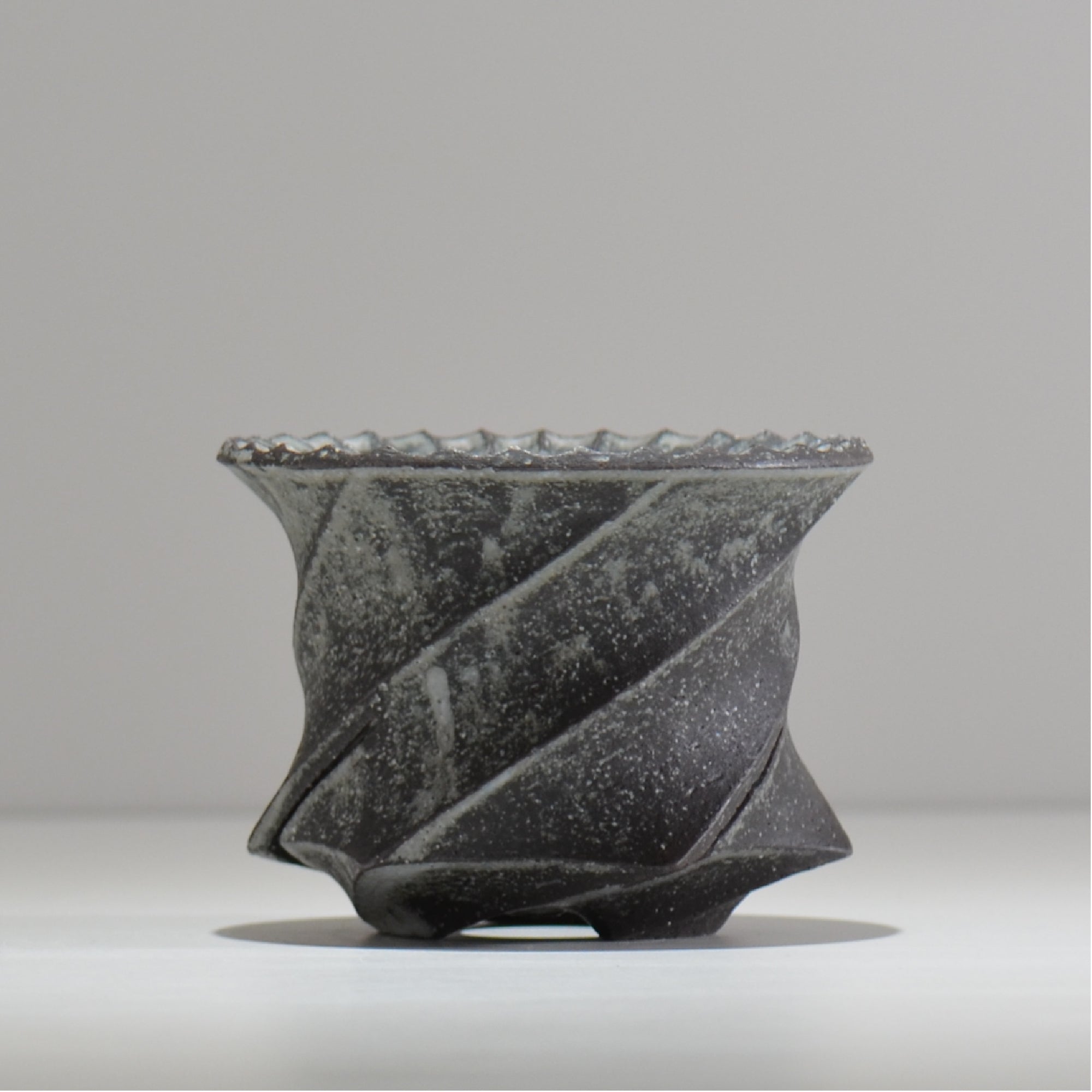 塊根植物・観葉植物の植木鉢専門店 「HACHILABO - ハチラボ- 」