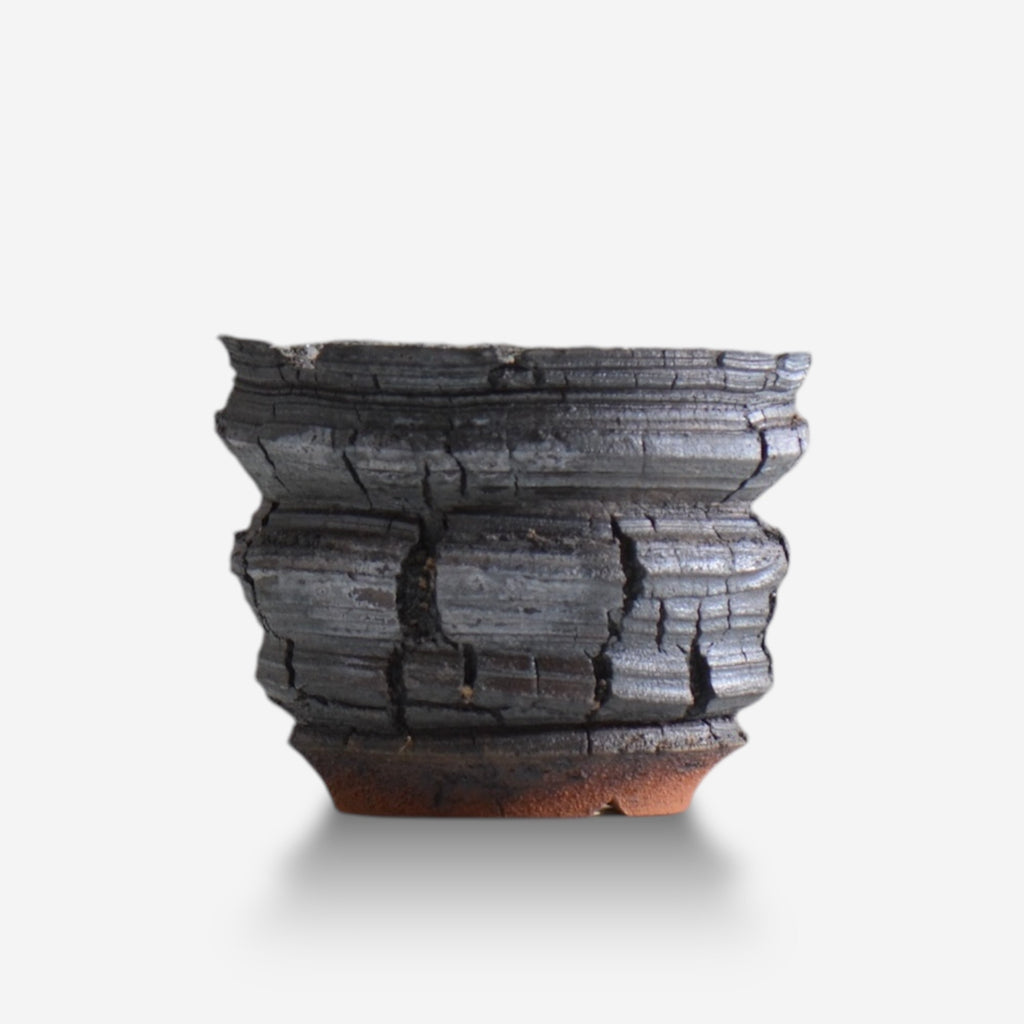 宮島將實 / POMPEI 010 / M / 約 φ12cm  / 植木鉢