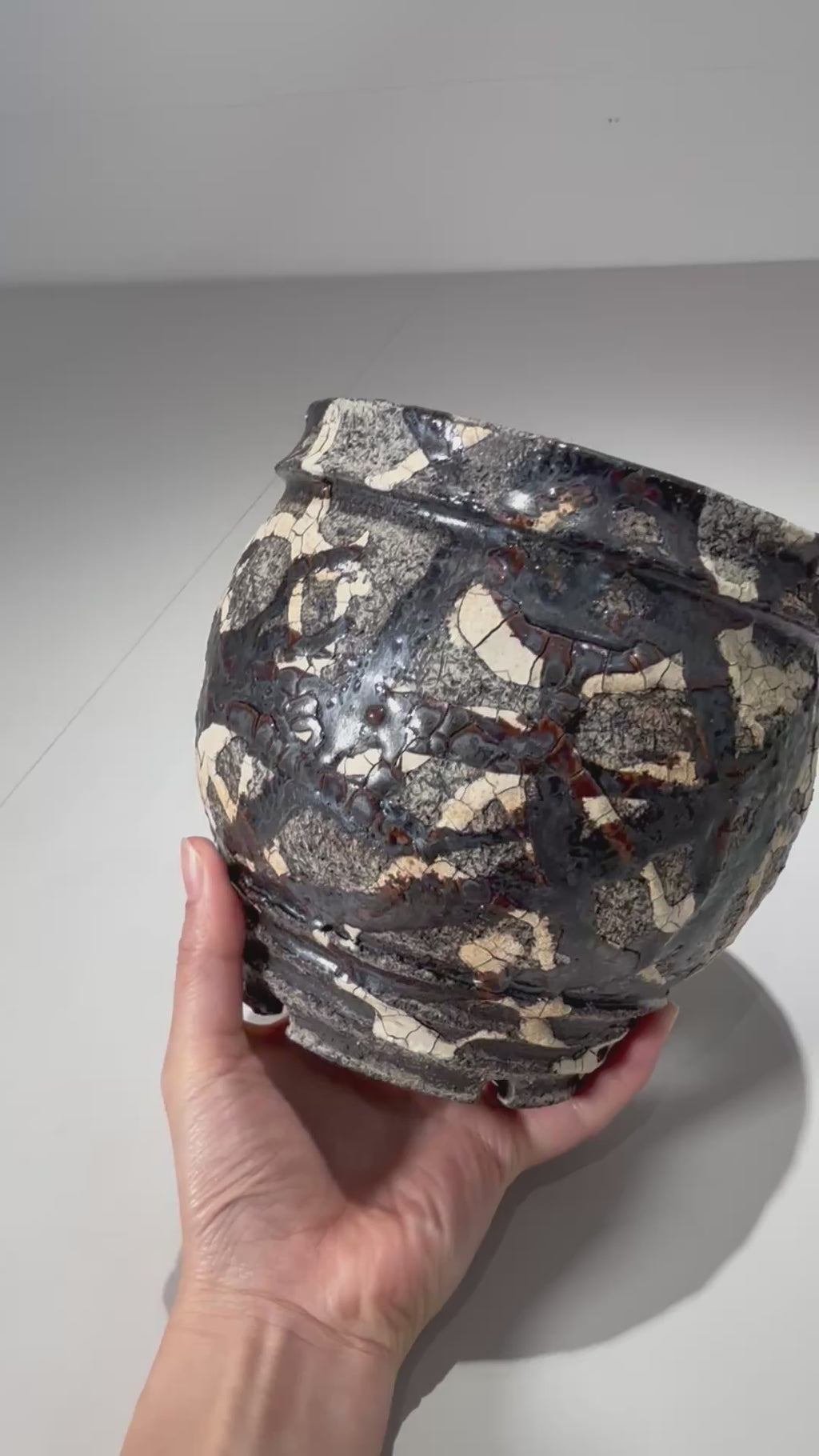 松井邦明 /  蔓  / mk2_kz14_m / 約 14.5cm / 植木鉢