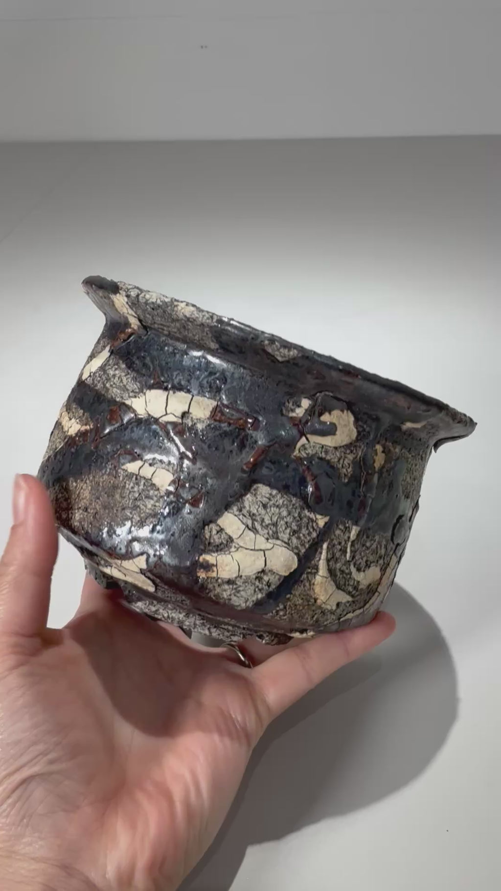 松井邦明 /  蔓  / mk2_kz09_m / 約 14cm / 植木鉢