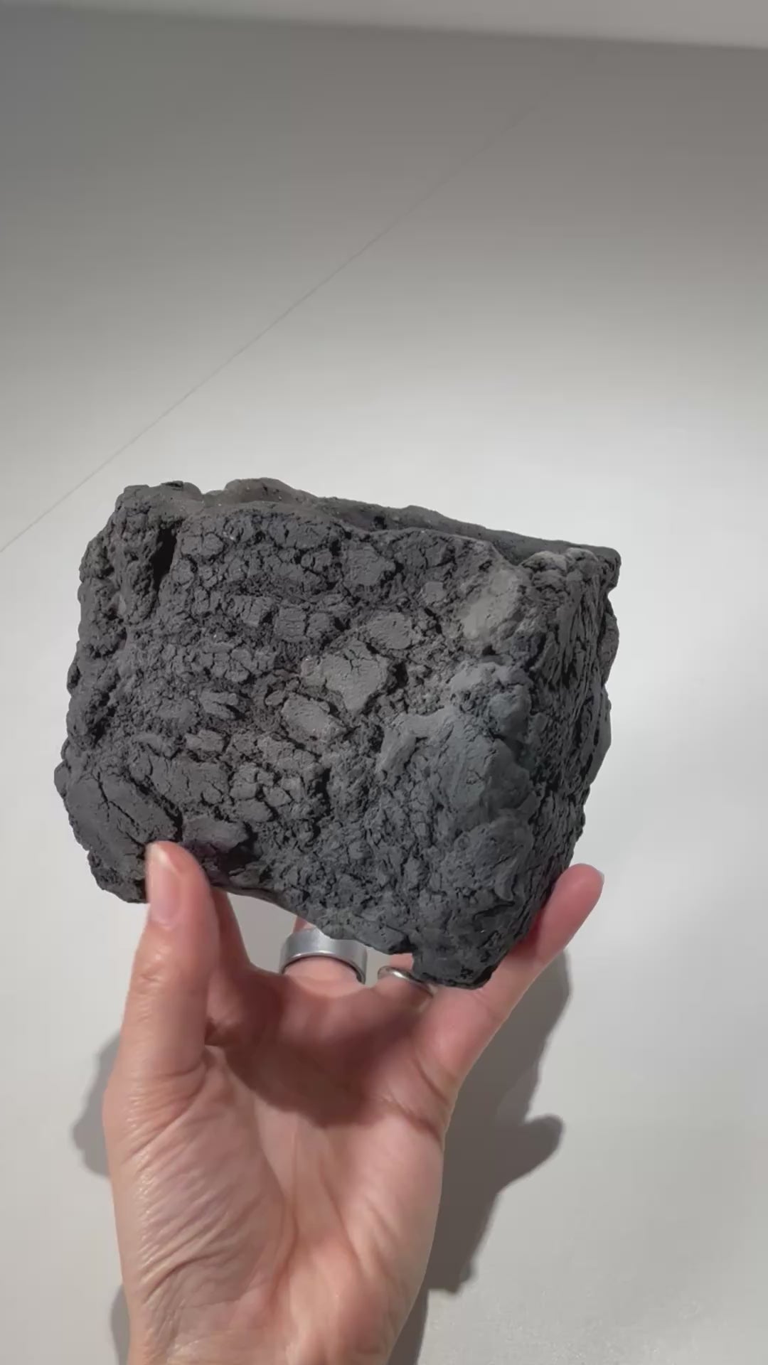 宮島將實 / mm3_sq02_xs / 約 φ8cm / 植木鉢