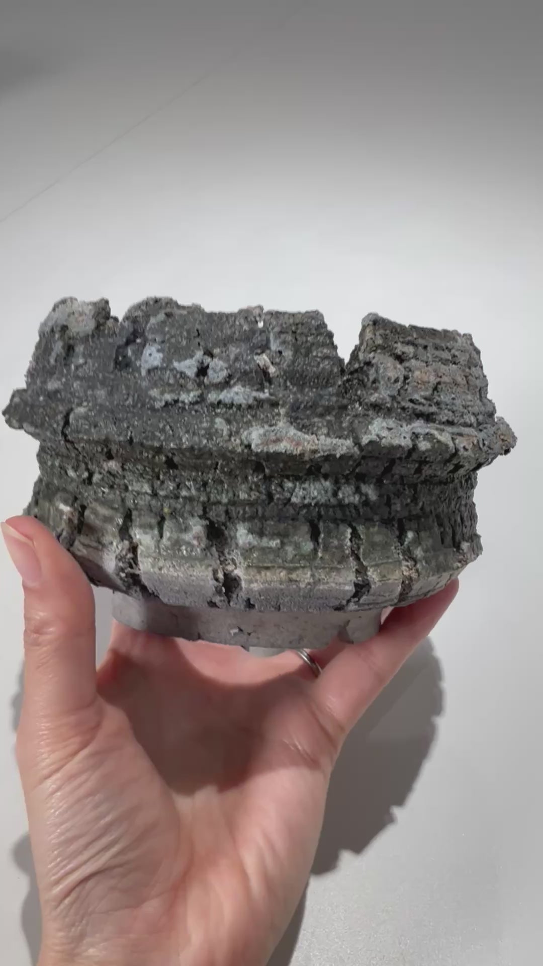 宮島將實 / mm3_ta25_s / 約 φ10.5cm / 植木鉢