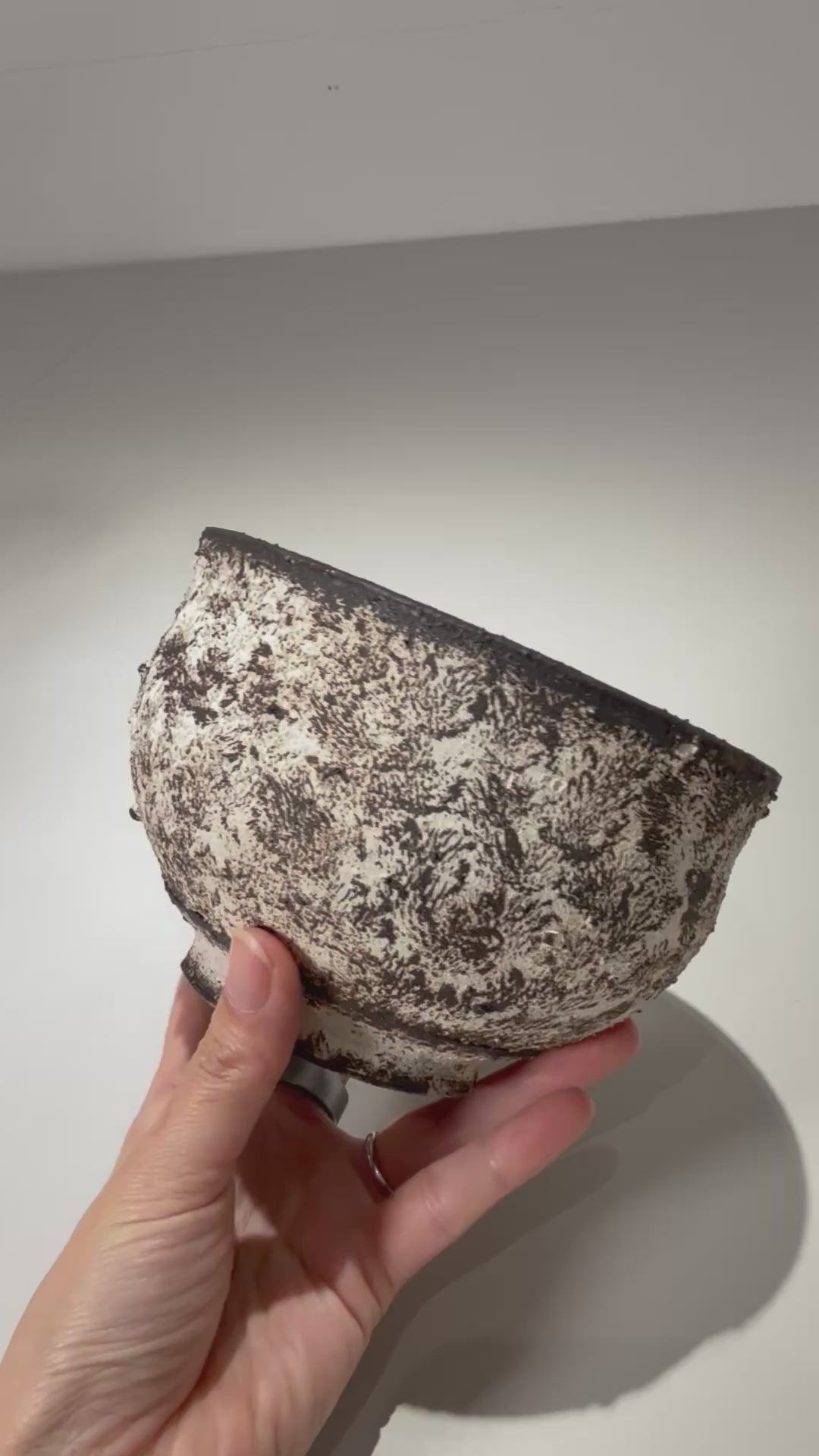 照鉢-terrace cotta- / ALBION / tc3_al12_m / 約13cm / 植木鉢 – ハチラボ