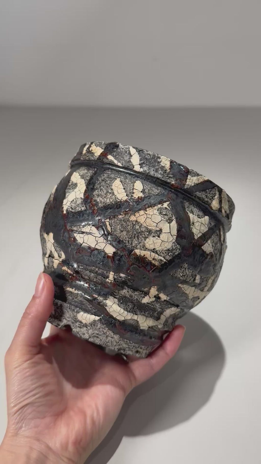 松井邦明 /  蔓  / mk2_kz11_m / 約 13cm / 植木鉢